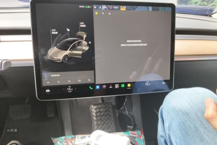Tesla Model 3 2021 car image #15