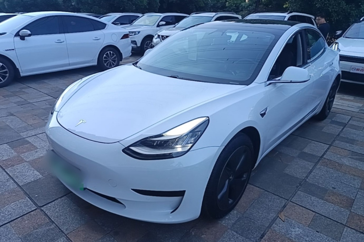 Tesla Model 3 2020 #2 Tesla Model 3 2020 car image #2