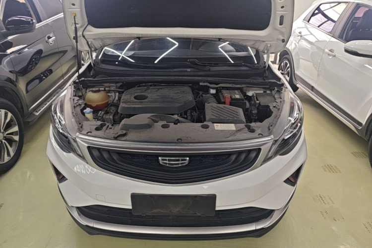GEELY Emgrand GS 2020 car image #20