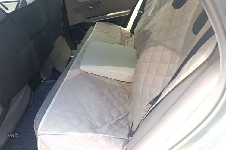 BYD Han 2024 car image #19