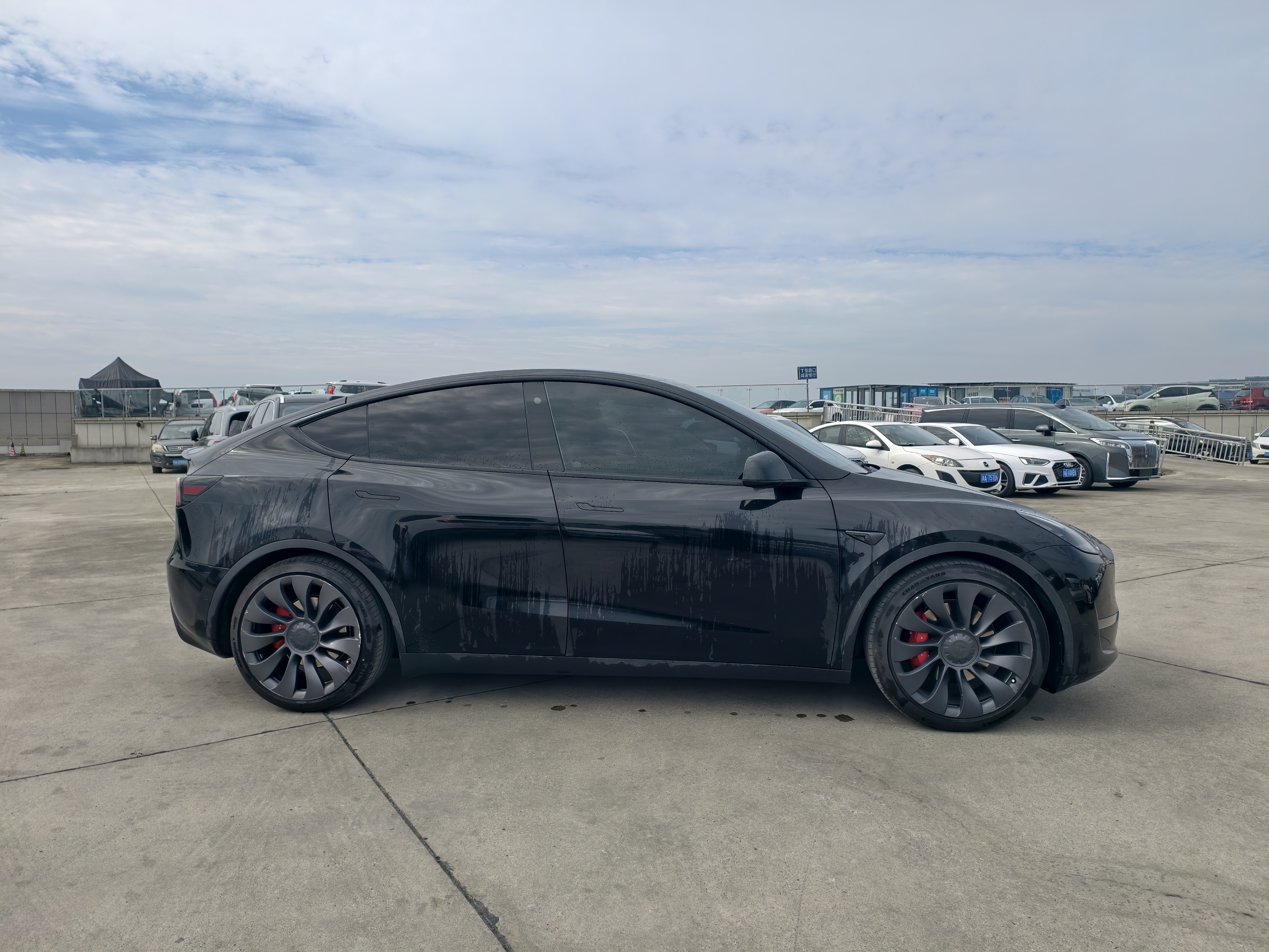 Tesla Model Y 2023 #6 Tesla Model Y 2023 car image #6