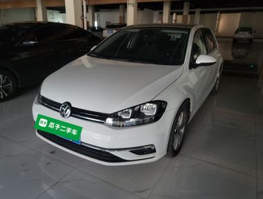 Volkswagen Golf 2019 Volkswagen Golf 2019 car image