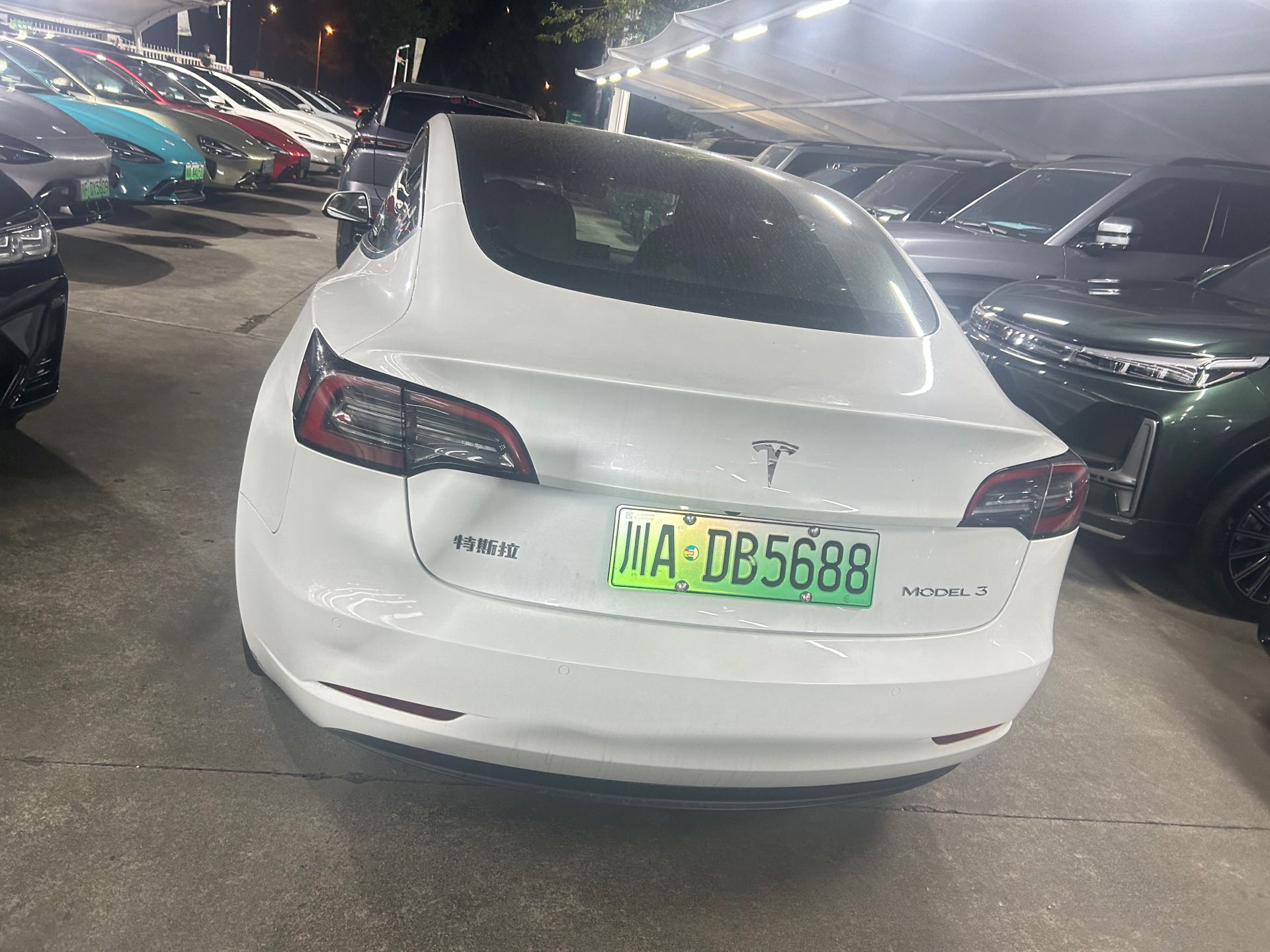 Tesla Model 3 2021 car image #3