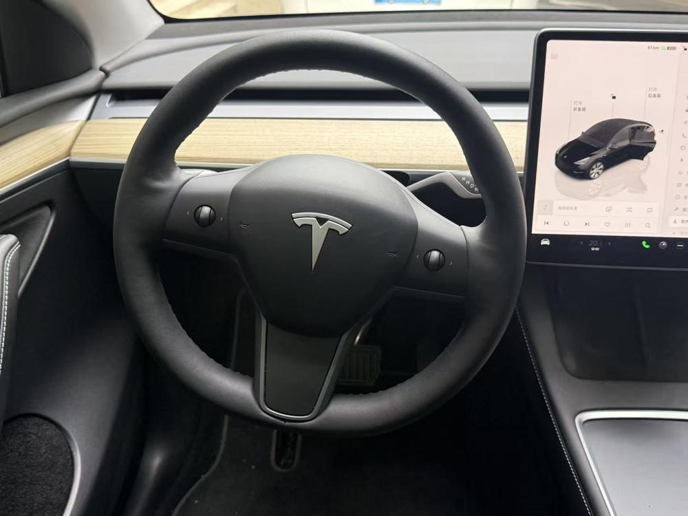 Tesla Model Y 2023 car image #13