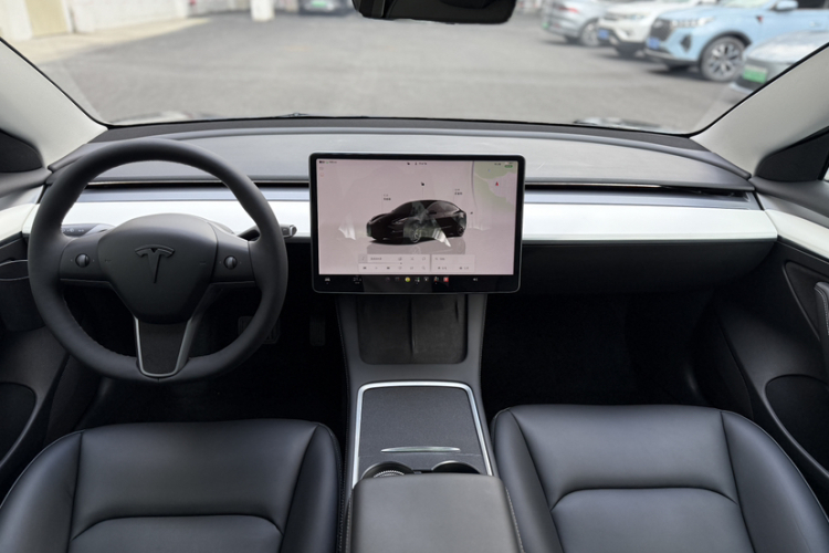 Tesla Model 3 2022 immagine di auto #12