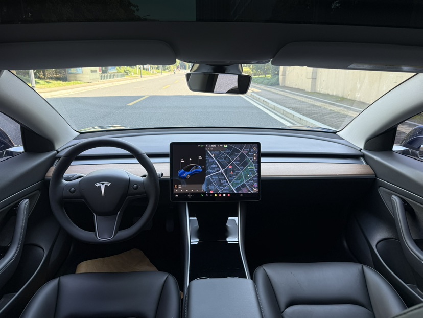 Tesla Model 3 2020 #6 Tesla Model 3 2020 car image #6