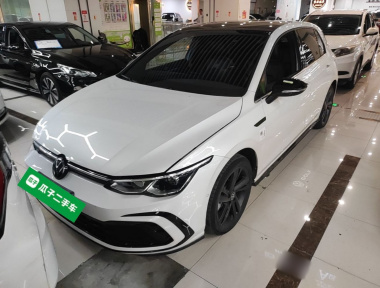 Volkswagen Golf 2024 car image 