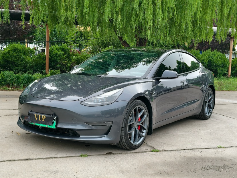 Tesla Model 3 2021 Tesla Model 3 2021 car image
