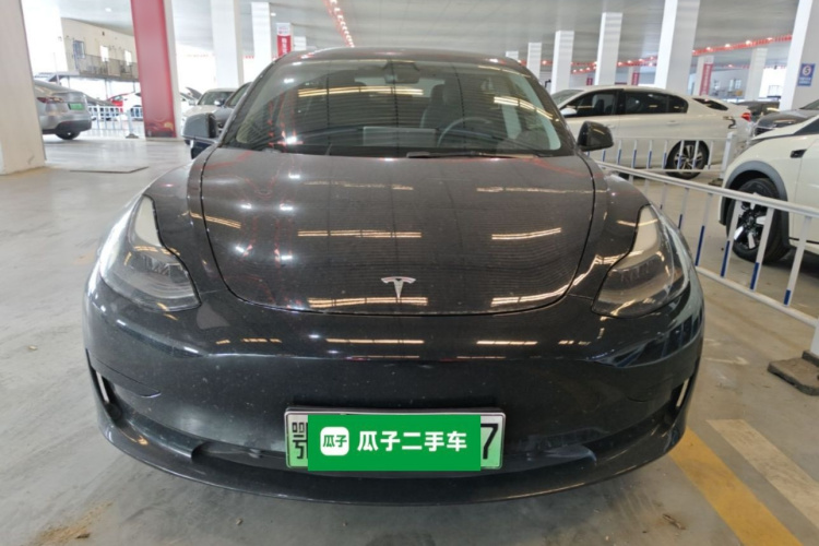 Tesla Model 3 2021 #3 Tesla Model 3 2021 car image #3
