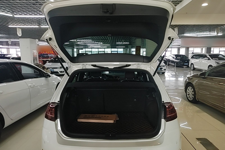 Volkswagen Golf 2020 car image #19