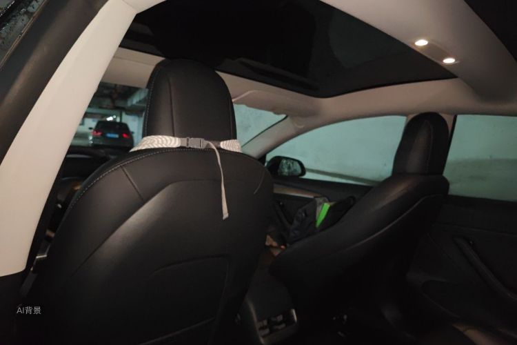 Tesla Model 3 2022 #20 Tesla Model 3 2022 car image #20