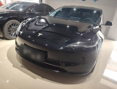 Tesla Model 3 2023 Tesla Model 3 2023 car image