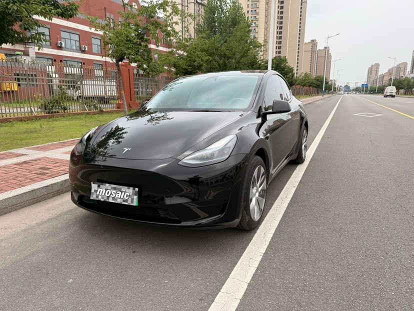 Tesla Model Y 2022 Tesla Model Y 2022 car image