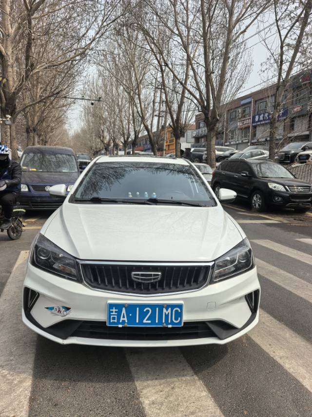 GEELY Emgrand 2021 imagen de coche #2