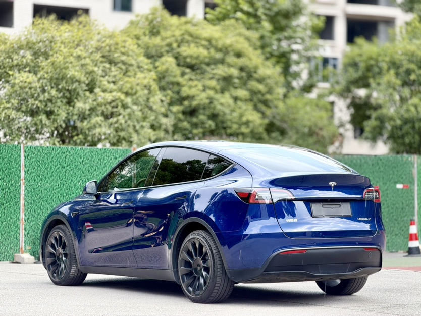 Tesla Model Y 2021 #3 Tesla Model Y 2021 car image #3