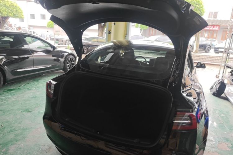 Tesla Model 3 2021 car image #19