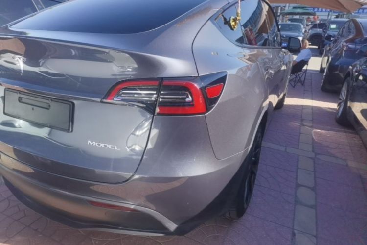 Tesla Model Y 2021 car image #8