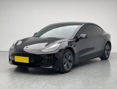 Tesla Model 3 2021 car image 