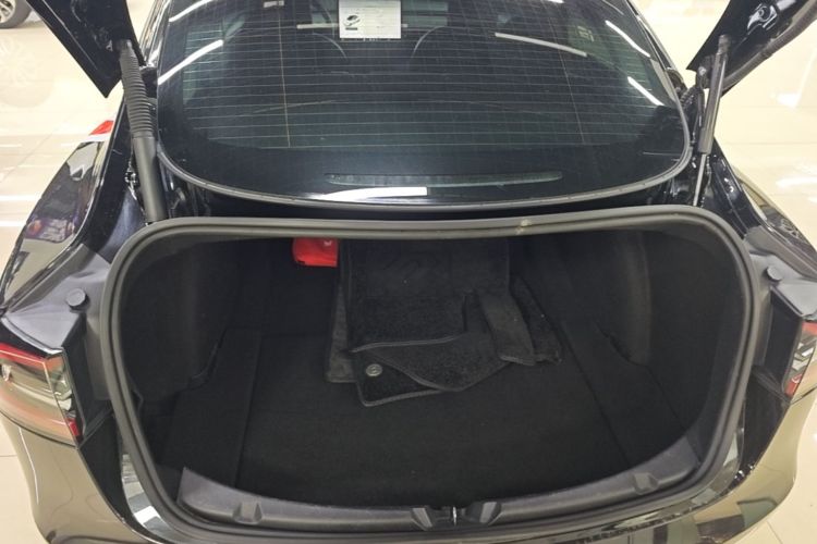 Tesla Model 3 2021 #19 Tesla Model 3 2021 car image #19
