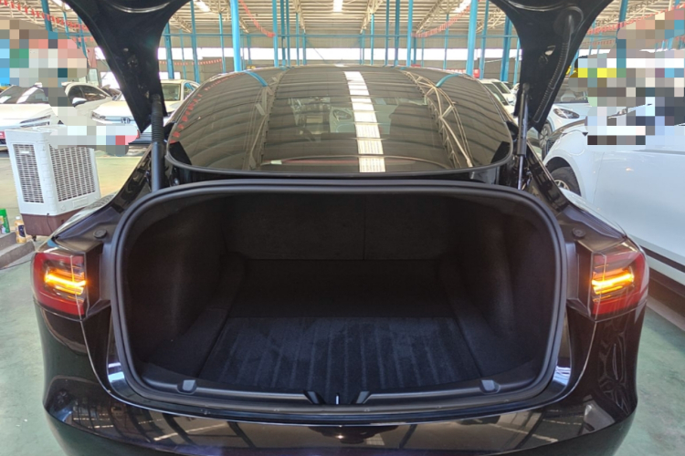 Tesla Model 3 2023 #21 Tesla Model 3 2023 car image #21