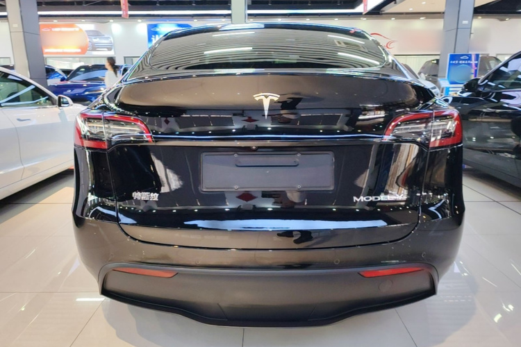 Tesla Model Y 2021 car image #6