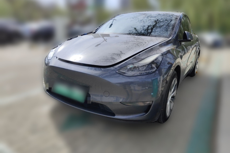 Tesla Model Y 2021 #2 Tesla Model Y 2021 car image #2