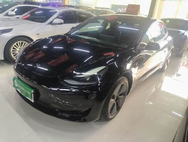 Tesla Model 3 2021 immagine di auto 