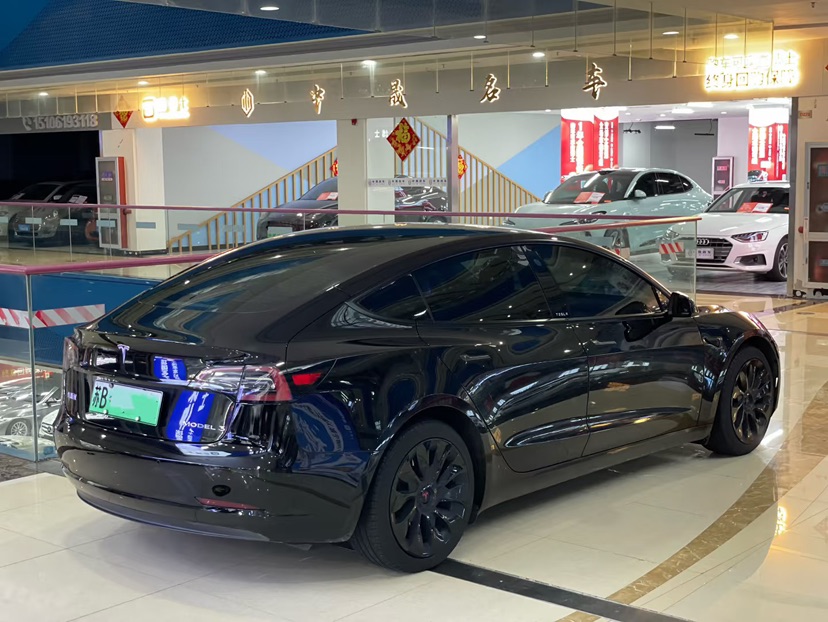 Tesla Model 3 2021 immagine di auto #3