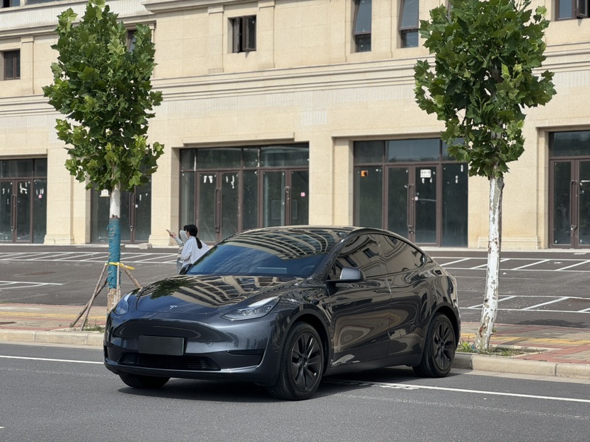 Tesla Model Y 2024 car image 