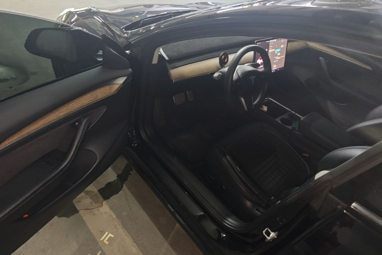 Tesla Model 3 2021 car image #16