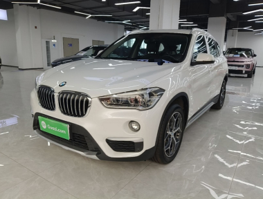 BMW X1 2019 immagine di auto 