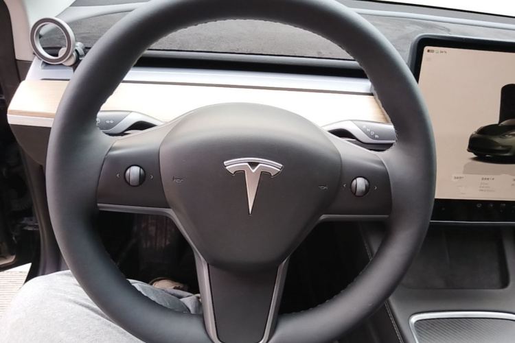 Tesla Model 3 2022 #11 Tesla Model 3 2022 car image #11