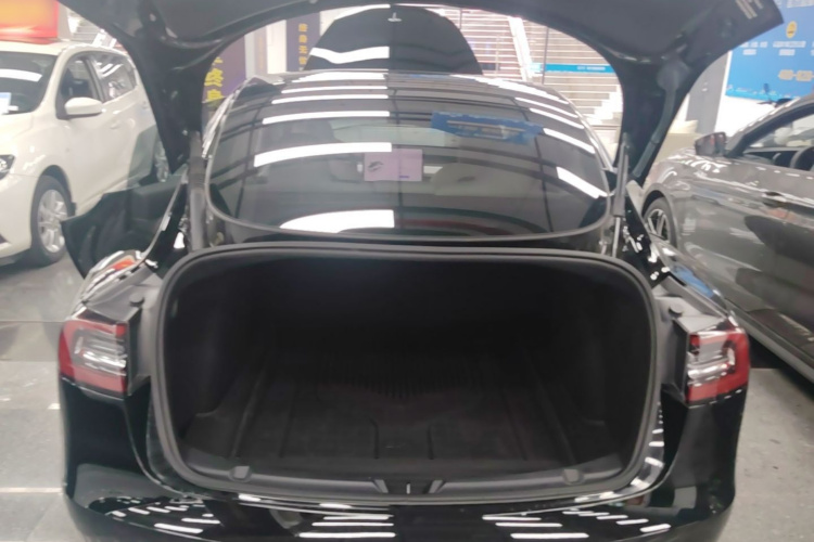 Tesla Model 3 2023 immagine di auto #19