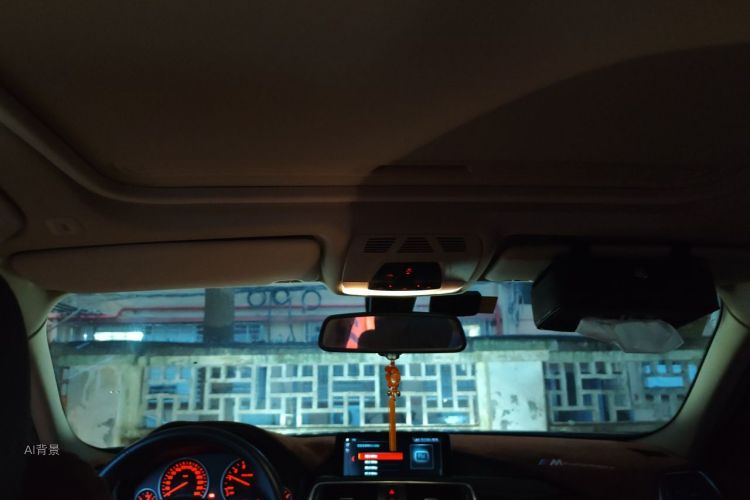 BMW 3 Series 2019 car image #20