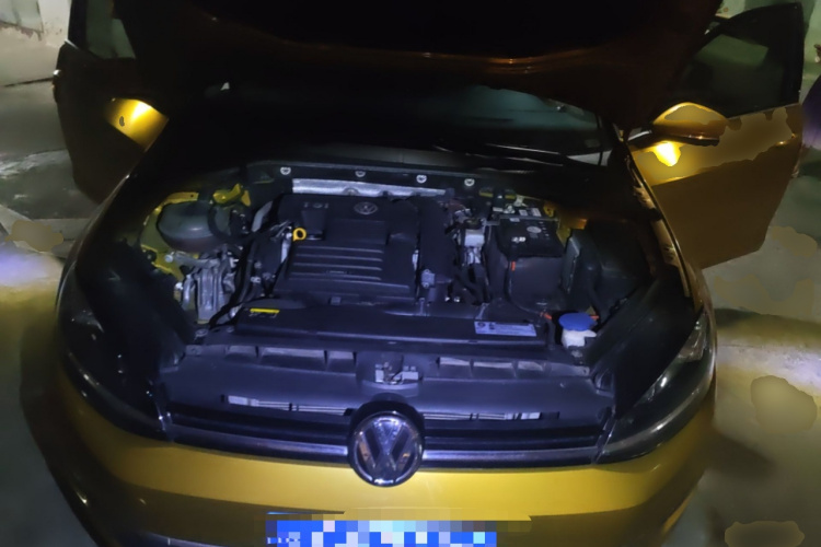 Volkswagen Golf 2019 imagen de coche #19