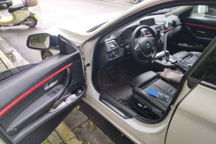 BMW 3 Series 2015 car image #18