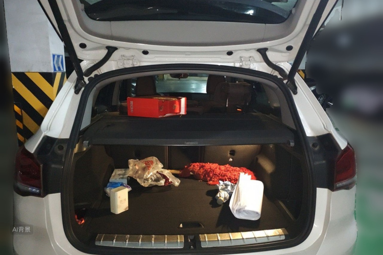 BMW X1 2021 car image #21