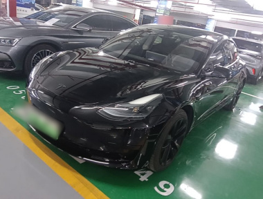 Tesla Model 3 2022 Tesla Model 3 2022 car image
