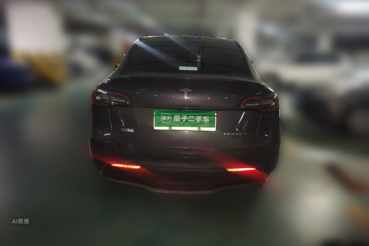 Tesla Model Y 2021 car image #6