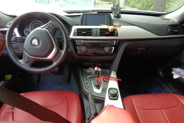 BMW 3 Series GT 2017 car image #11
