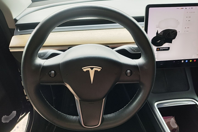 Tesla Model Y 2021 car image #12