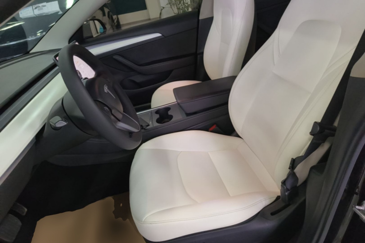 Tesla Model 3 2021 #15 Tesla Model 3 2021 car image #15