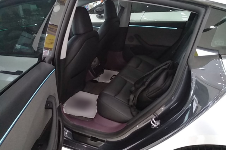 Tesla Model 3 2025 car image #13
