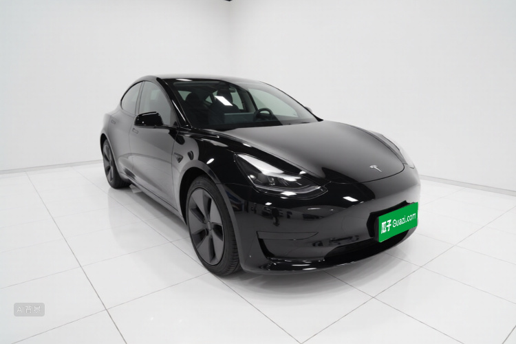 Tesla Model 3 2021 car image #4