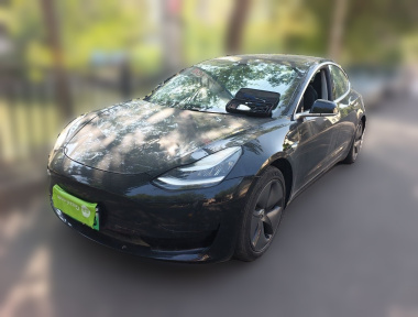 Tesla Model 3 2020 immagine di auto 