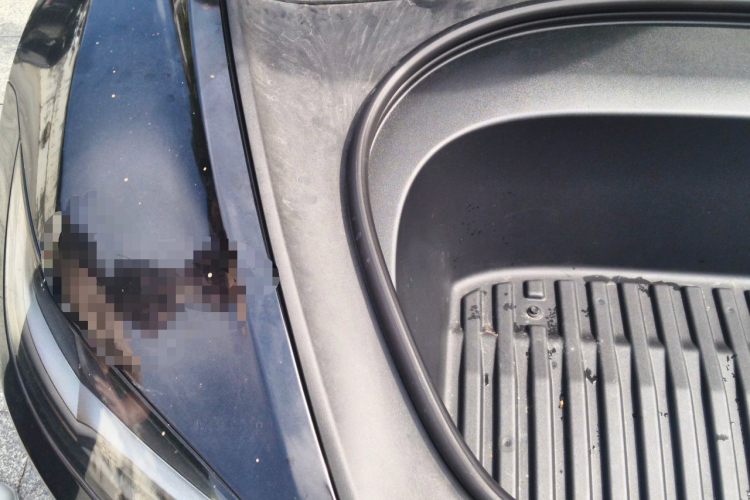 Tesla Model 3 2023 #27 Tesla Model 3 2023 car image #27