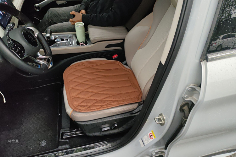 BYD Yuan Plus 2024 immagine di auto #17