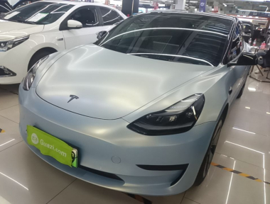 Tesla Model 3 2021 immagine di auto 