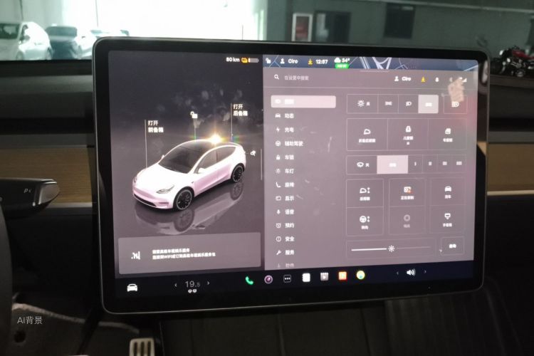Tesla Model Y 2022 car image #13