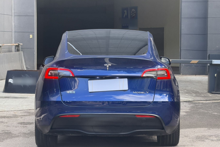 Tesla Model Y 2021 #9 Tesla Model Y 2021 immagine di auto #9